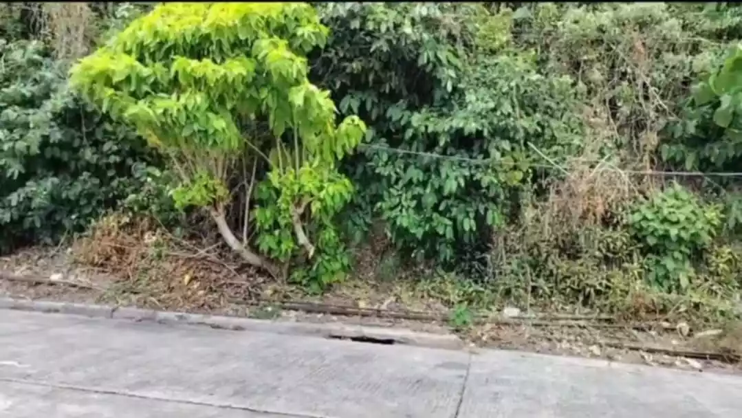 LOTS FOR SALE INSIDE SOUTH HILLS SUBDIVISION (High End Subdivision) — Residential Lot in Cebu City, Cebu, Philippines — Photo 7