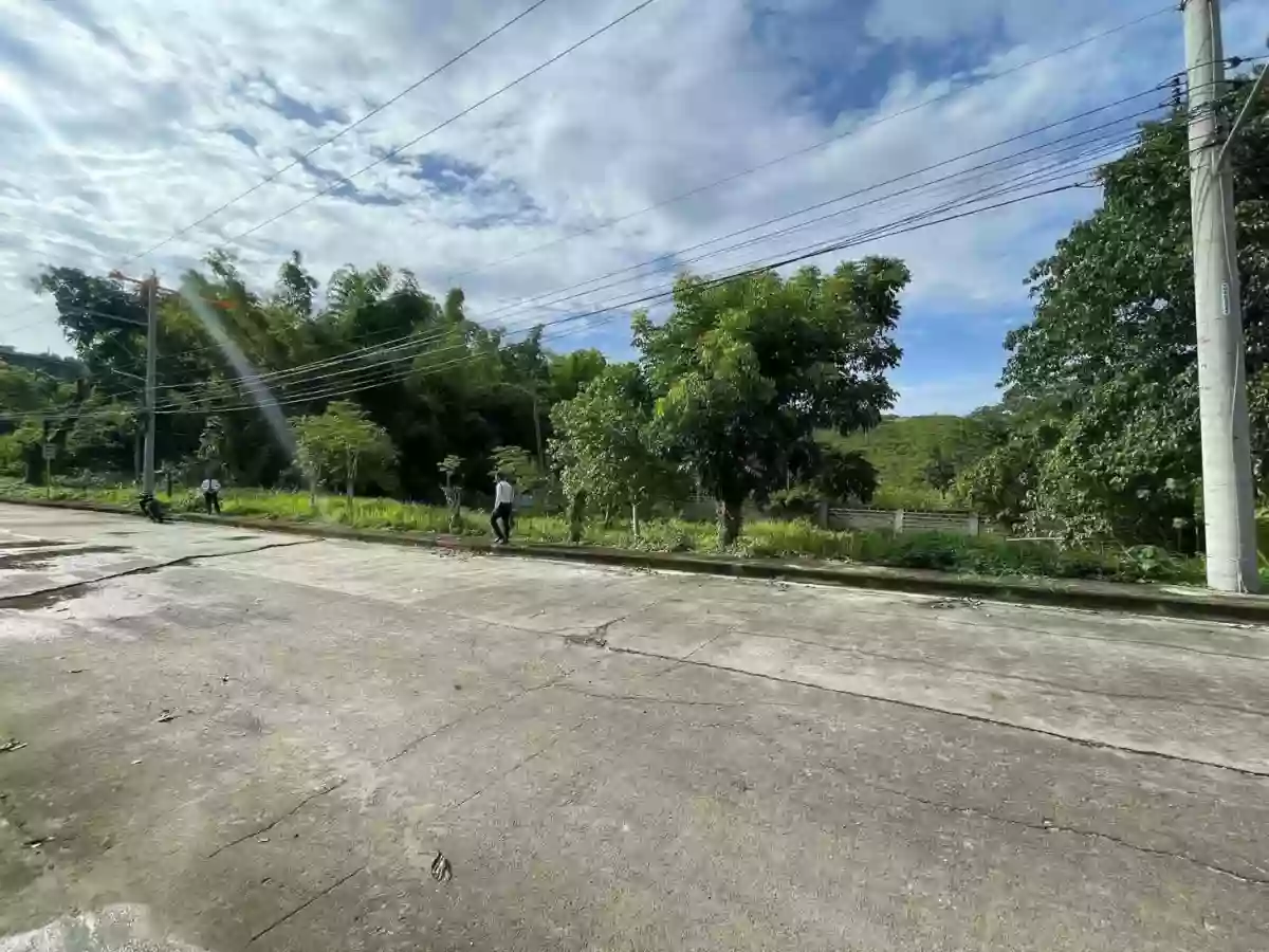 ROYAL CEBU ESTATES - LOT ONLY — Residential Lot in Consolacion, Cebu, Philippines — Photo 4