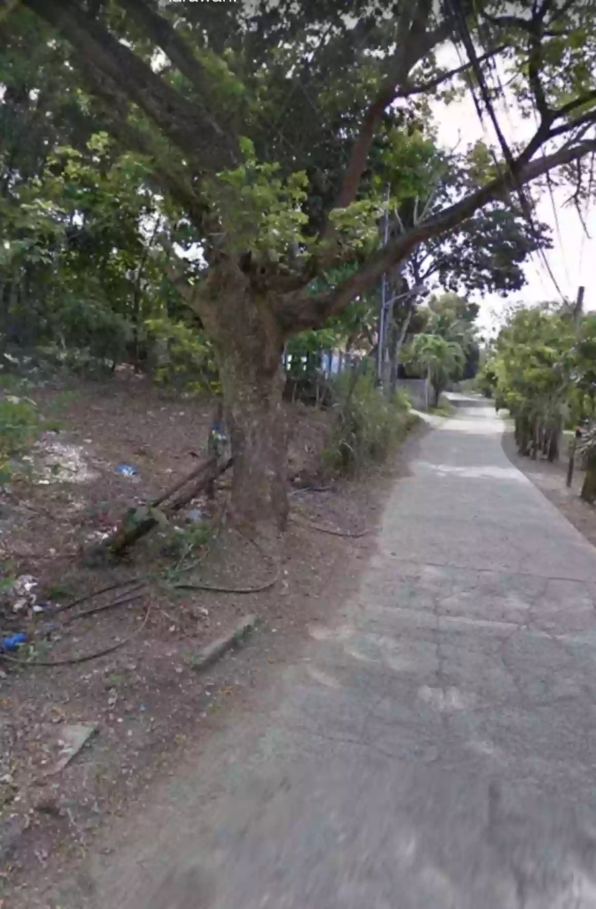 Prime Residential/Commercial Two-Front Corner-Lot in Cabatangan, Zamboanga City — Residential Lot in Zamboanga City, Zamboanga del Sur, Philippines — Photo 5