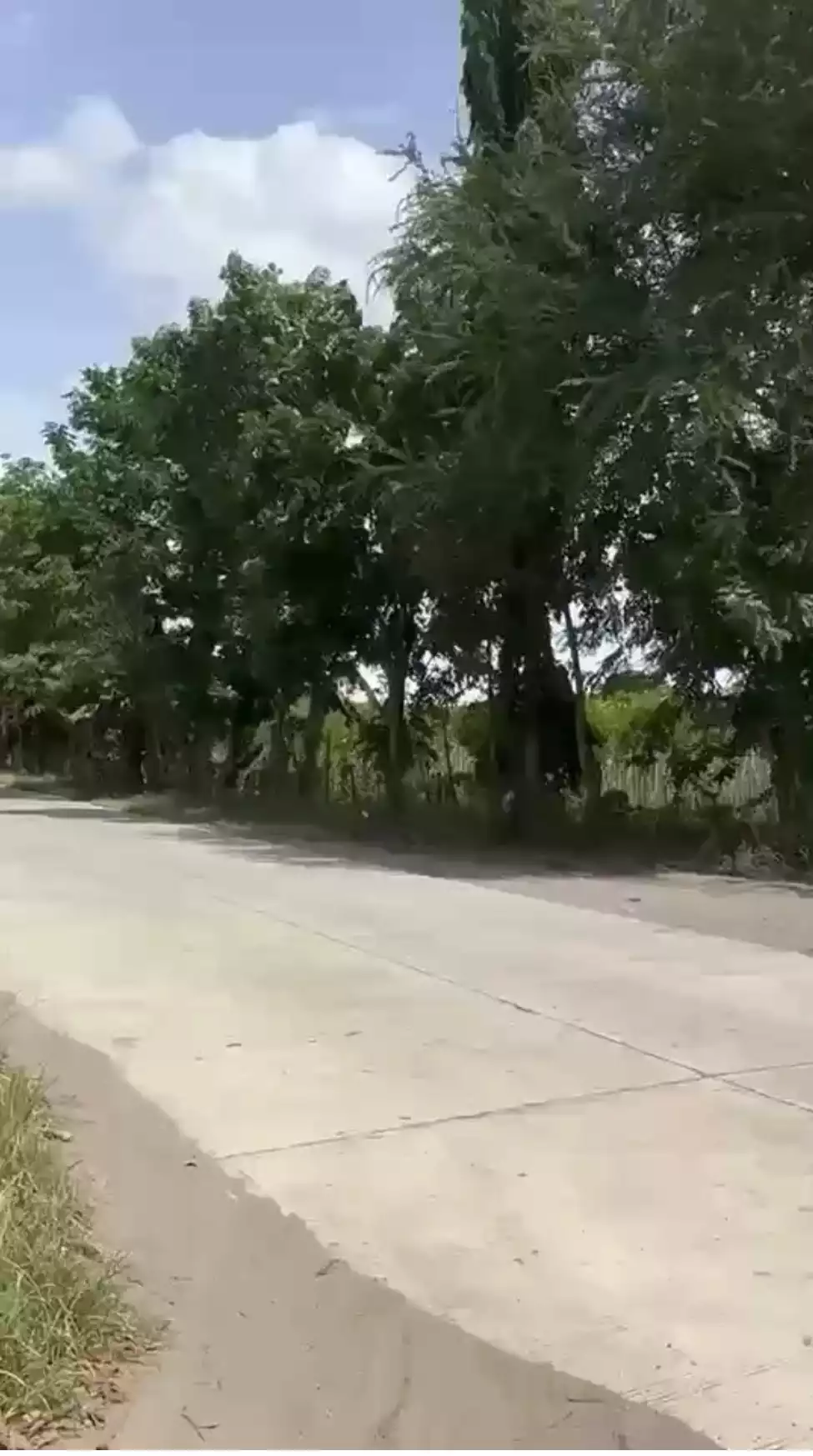 Lot for Sale — Residential Lot in Silway 7 - Klinan 6 Road, Polomolok, South Cotabato — Photo 2