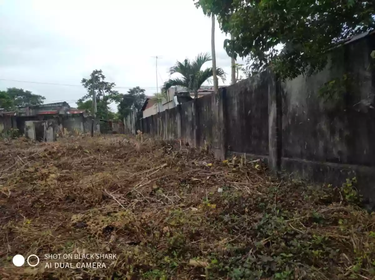 Residential /Commercial Lot for sale — Residential Lot in Liloan, Cebu, Philippines — Photo 2