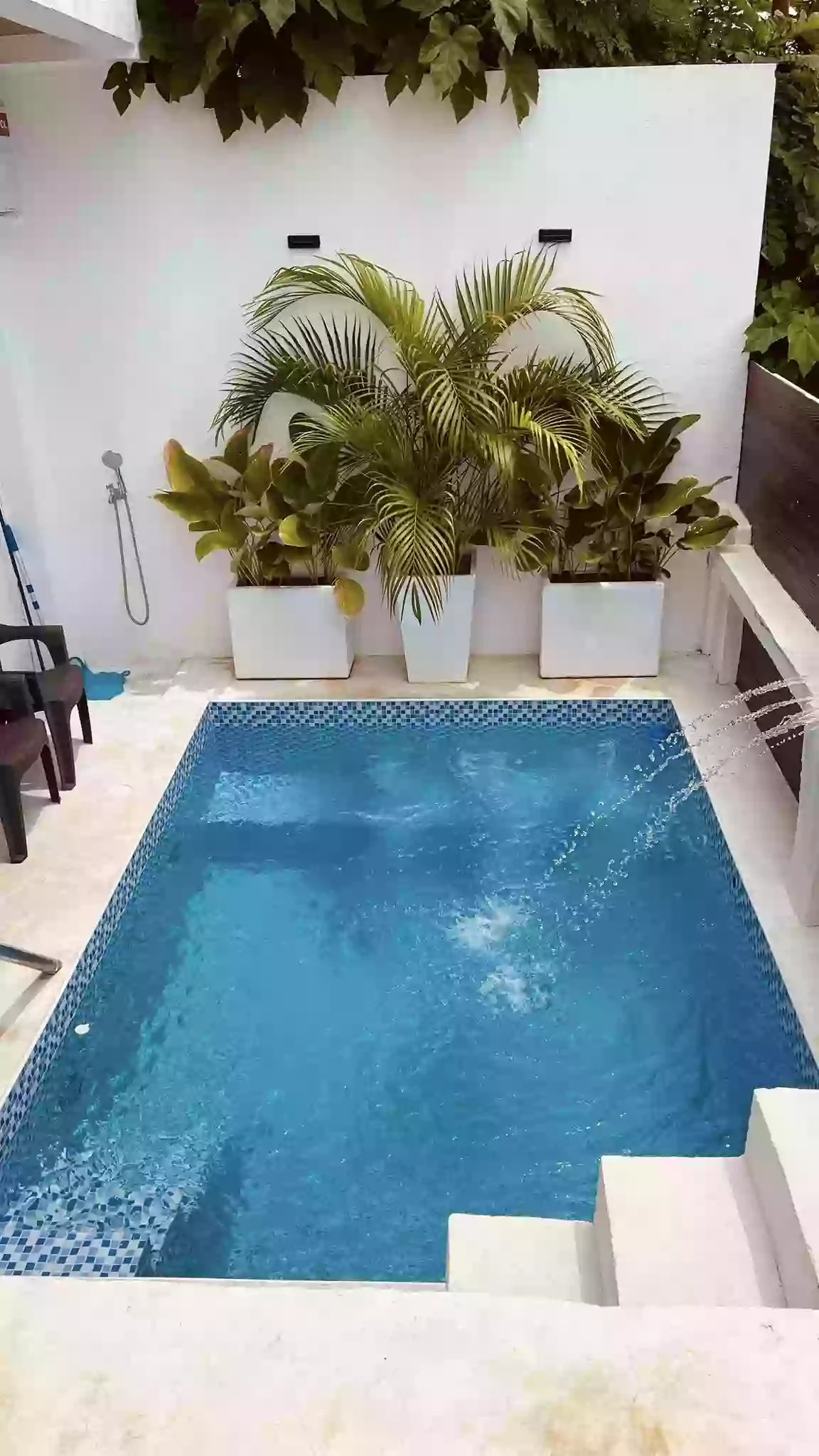 Modern Newly Built House, Titled Lot, Private Jacuzzi Swimming Pool for Sale in Pajac, Lapu-Lapu, Mactan — House and Lot in Lapu-Lapu, Cebu, Philippines — Photo 2