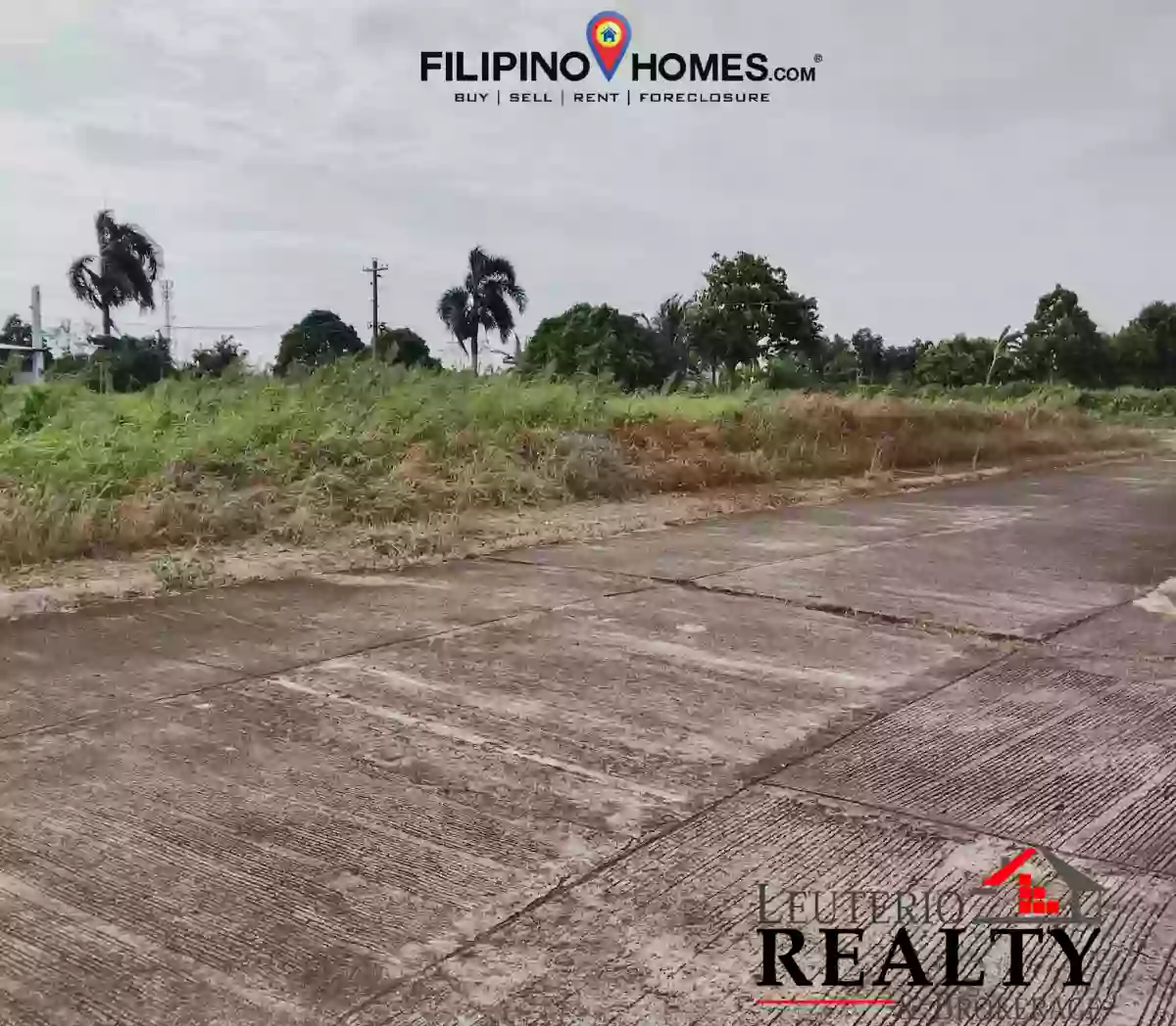 Residential Lot For Sale — Residential Lot in Naga City, Camarines Sur, Philippines — Photo 5