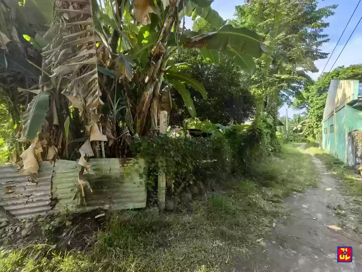 Rush Sale Lot in Batinguel, Dumaguete [available] — Residential Lot in Negros Oriental, Philippines — Photo 2