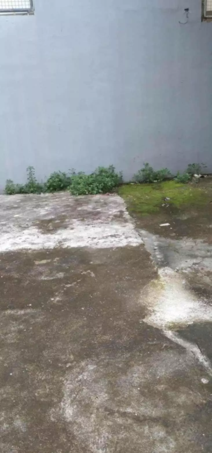 Income Generating Property for SALE!!! — House and Lot in Cebu City, Cebu, Philippines — Photo 5