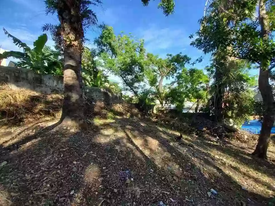Consolacion Lot Only for Sale — Residential Lot in Consolacion, Cebu, Philippines — Photo 5
