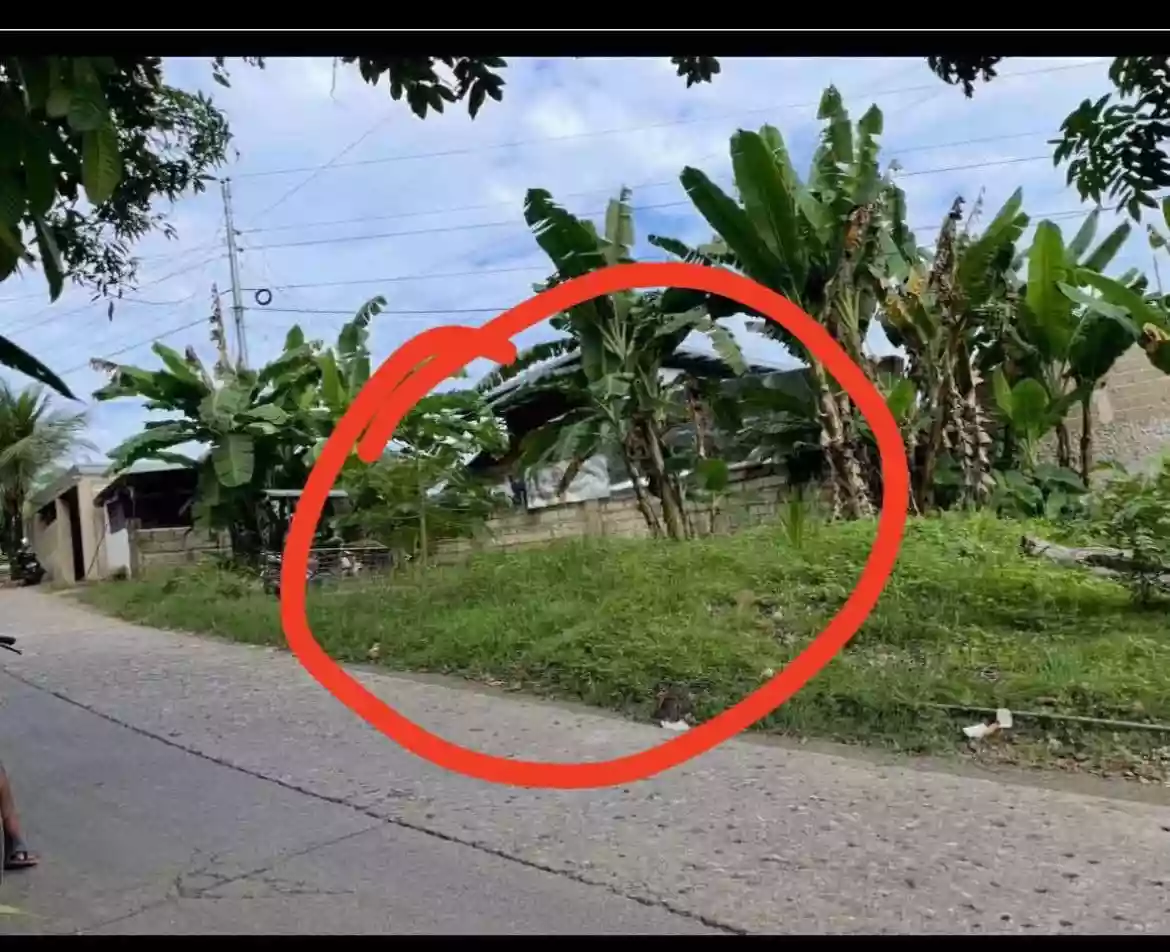 Commercial Lot for rent in Simangan — Commercial Lot in Danao, Cebu, Philippines — Photo 3
