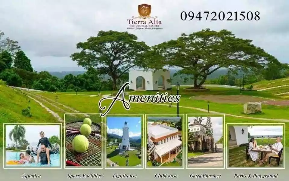 Tierra Alta Lot For Sale 315sqm — Residential Lot in Valencia, Negros Oriental, Philippines — Photo 3