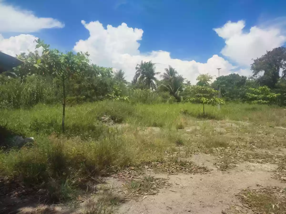 Raw Lot Along Bula-Amao Road, Jorge Royeca Blvd