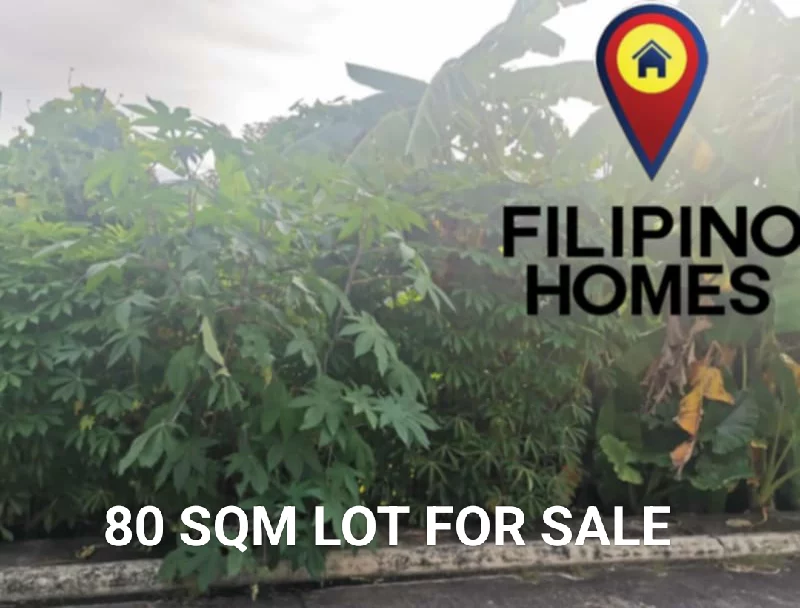 RESIDENTIAL LOT FOR SALE — Residential Lot in Naga City, Camarines Sur, Philippines — Photo 6