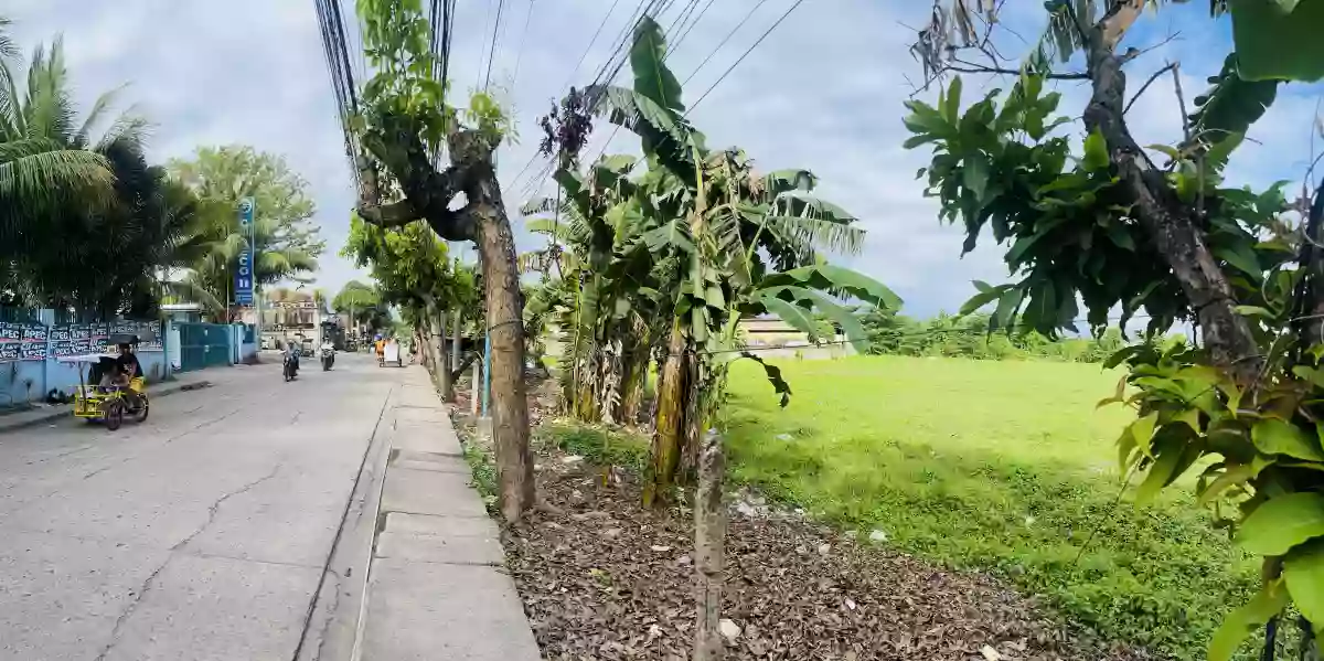 Lot for Sale — Agricultural Lot in Danao City, Cebu, Philippines — Photo 5