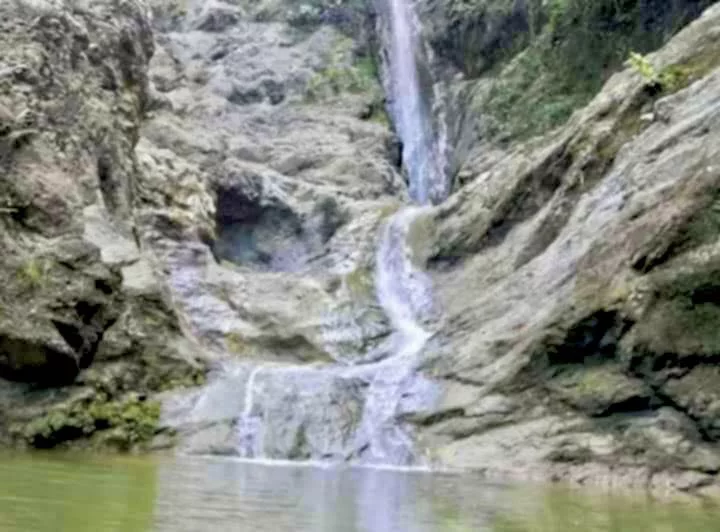 FUTURE SANCTUARY IN PULANGBATO CEBU CITY — Agricultural Lot in Cebu City, Cebu, Philippines — Photo 4