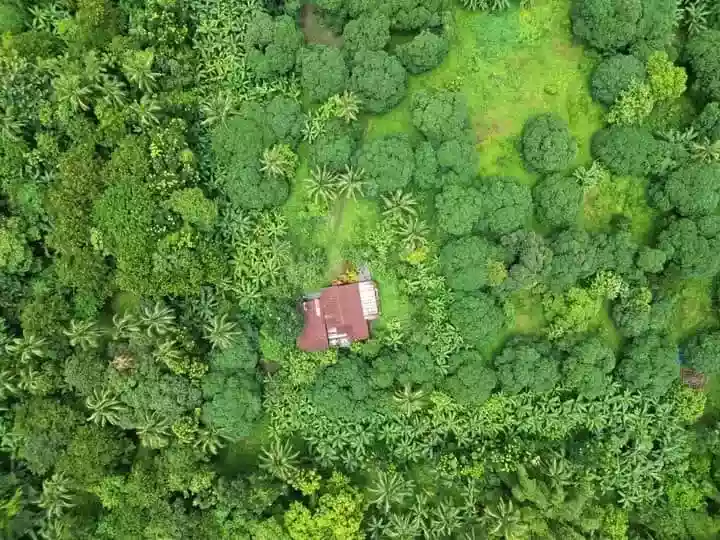 HECTARES LOT with 200 sqm floor area vacation in CAVITE NEAR STATE UNIVERSITY.      