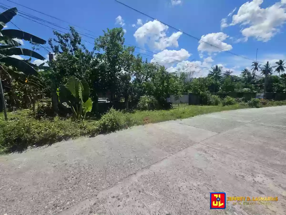 Rush Sale! 1,098sqm Lot in Calabnugan, Sibulan [available] — Residential Lot in Sibulan, Negros Oriental, Philippines — Photo 2