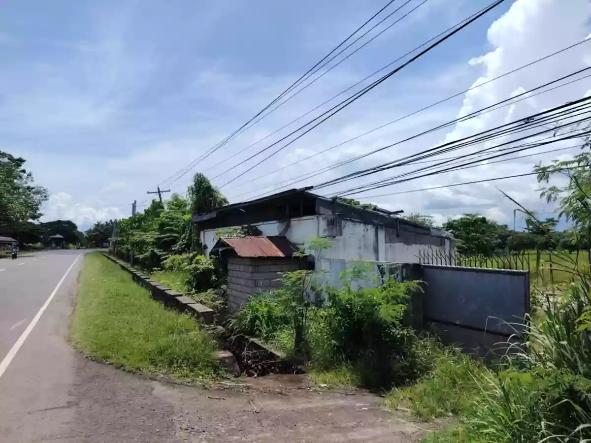 Prime Lot Along National Highway – Tanjay City, Negros Oriental — Residential Lot in Tanjay City, Negros Oriental, Philippines — Photo 5