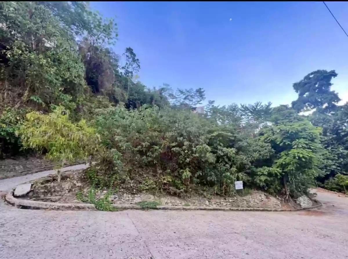 LOT FOR SALE | Jardin de Busay Exclusive Hillside Community — Residential Lot in Cebu Transcentral Highway, Cebu City, Cebu — Photo 3