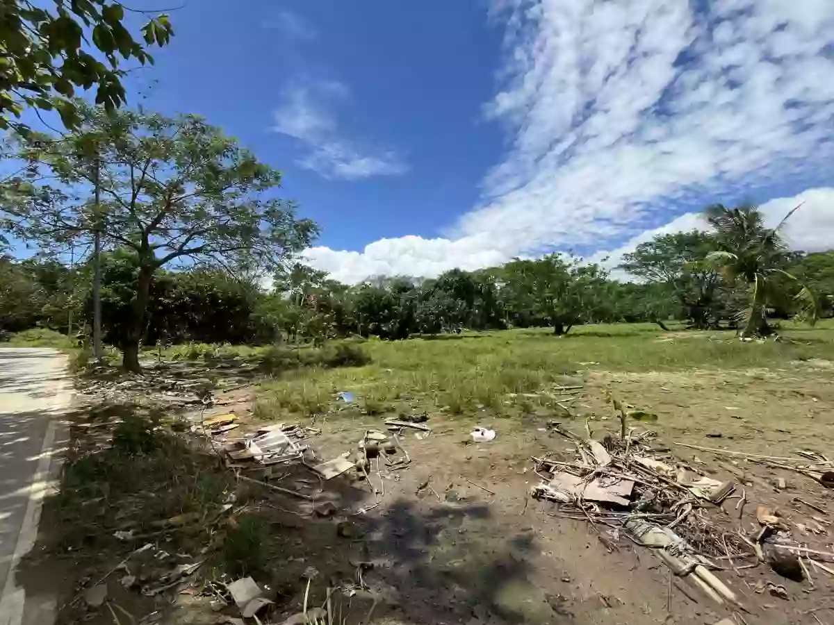 8,875 sqm AGRICULTURAL Lot for sale in COTCOT, LILOAN [TITLED] — Agricultural Lot in Liloan, Cebu, Philippines — Photo 2