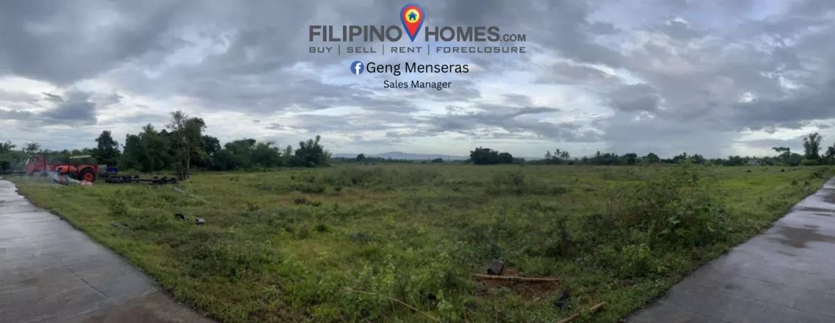 Lot for Sale located in Cadlan Pili Camarines Sur — Agricultural Lot in Pili, Camarines Sur, Philippines — Photo 3