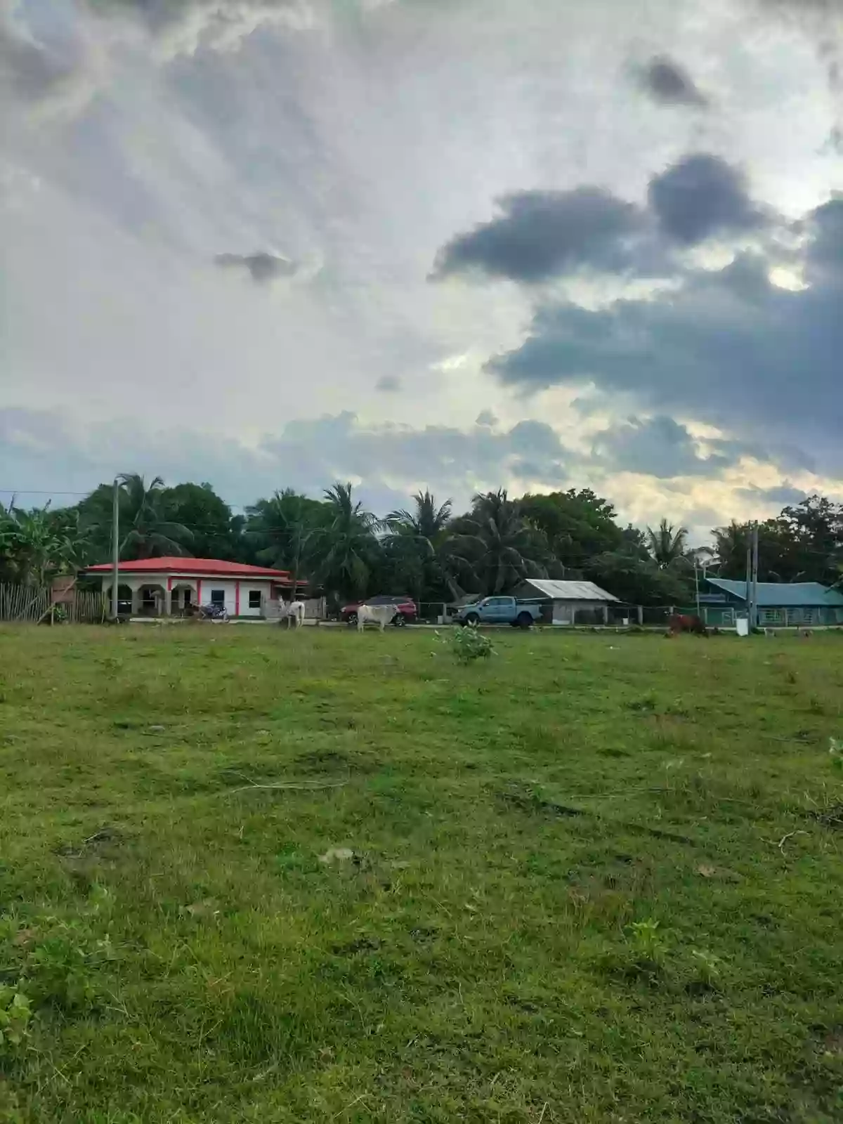 3,585 squaremeters Overlooking Lot Upper Jugno, Amlan Negros Oriental — Agricultural Lot in Amlan, Negros Oriental, Philippines — Photo 6