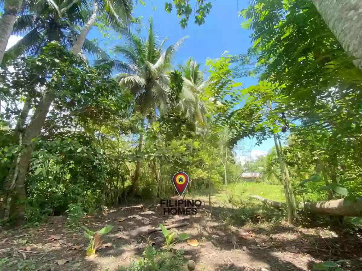 1592021000595 — Residential Lot in Agusan del sur — Photo 2