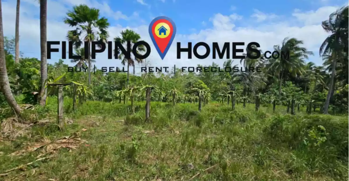 Lot for Sale with  300 meters of road frontage along the national road