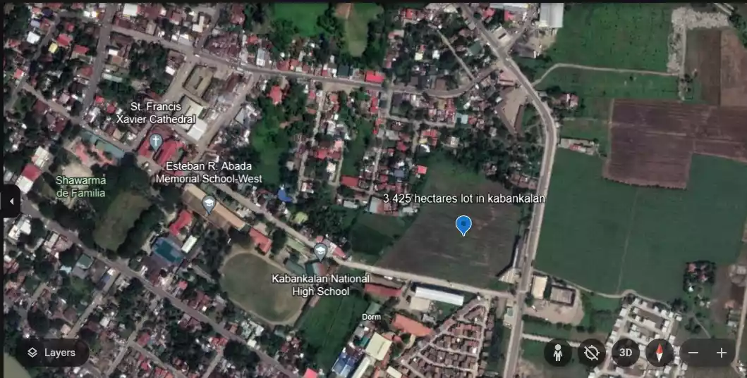 3.423 Hectares Lot for sale — Agricultural Lot in Negros Occidental, Philippines — Photo 4