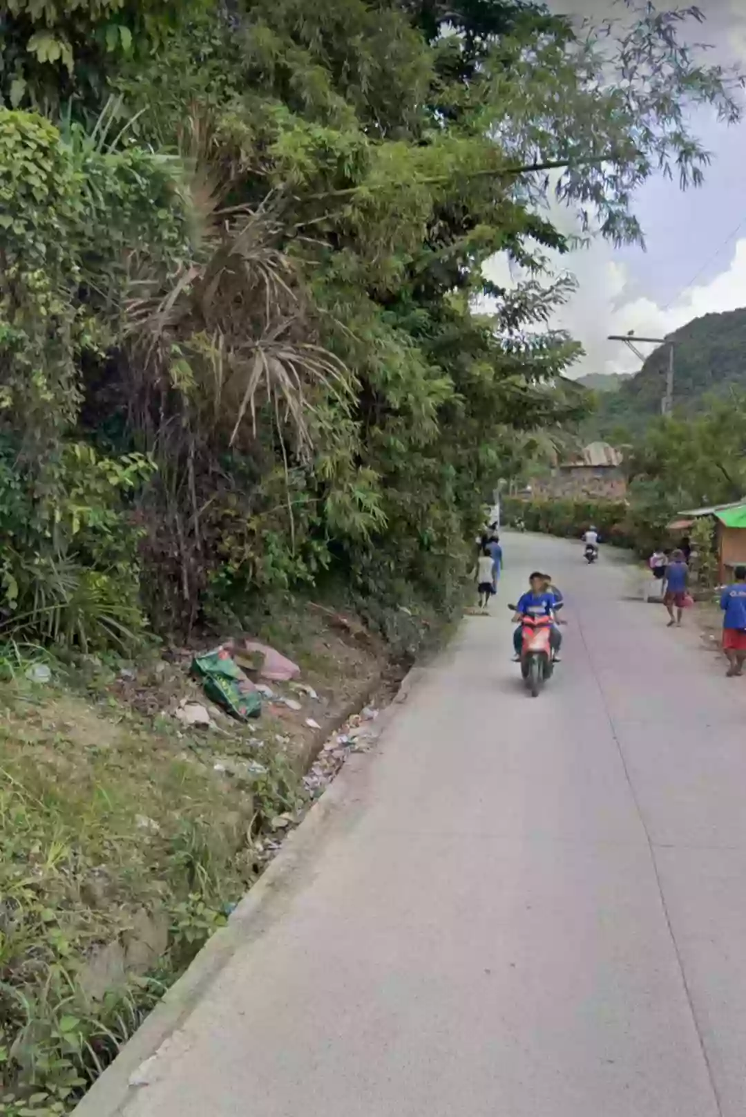 UNBEATABLE DEAL! Prime 12-Hectare Lot in Consolacion, Cebu for Sale! — Agricultural Lot in Cabangahan Road, Consolacion, Cebu — Photo 3