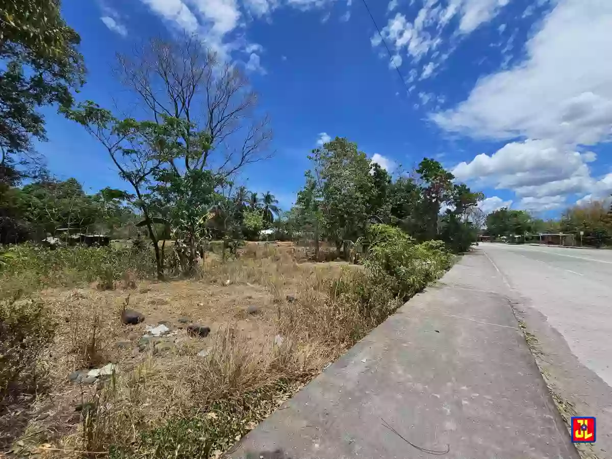 Commercial Lot For Sale Along Diversion Road Magatas, Sibulan [available]
