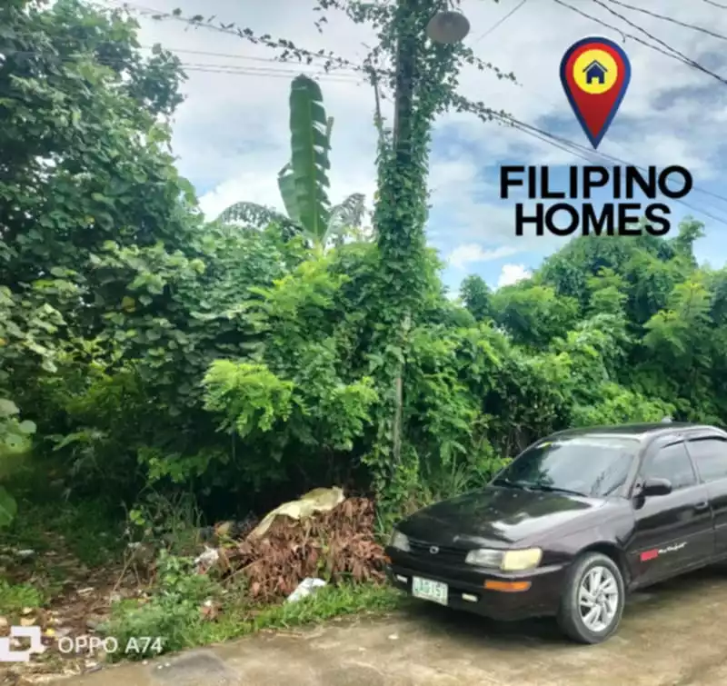 513 SQM RESIDENTIAL LOT FOR SALE — Residential Lot in Naga City, Camarines Sur, Philippines — Photo 2