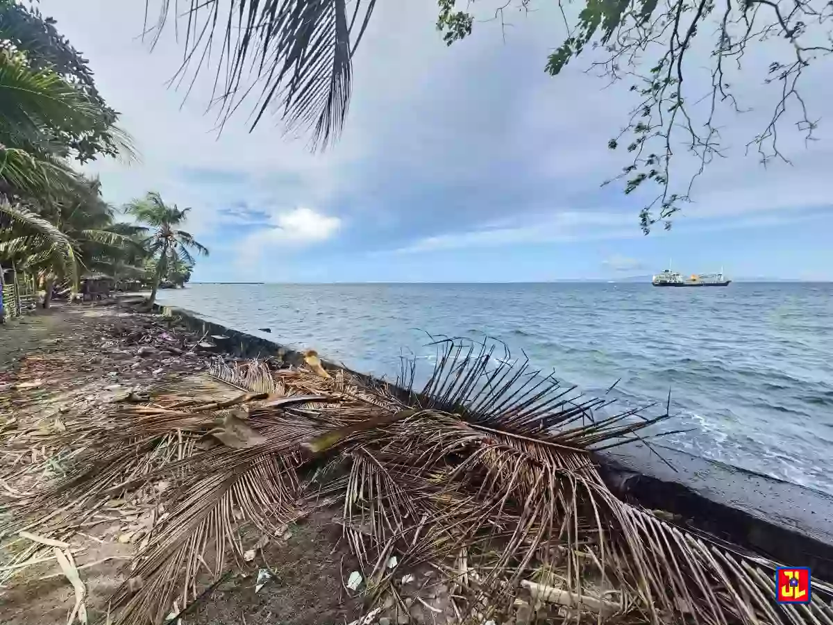 Rush Sale Beach House in San Miguel, Bacong [available] — Beach House / Resort in Negros Oriental, Philippines — Photo 4