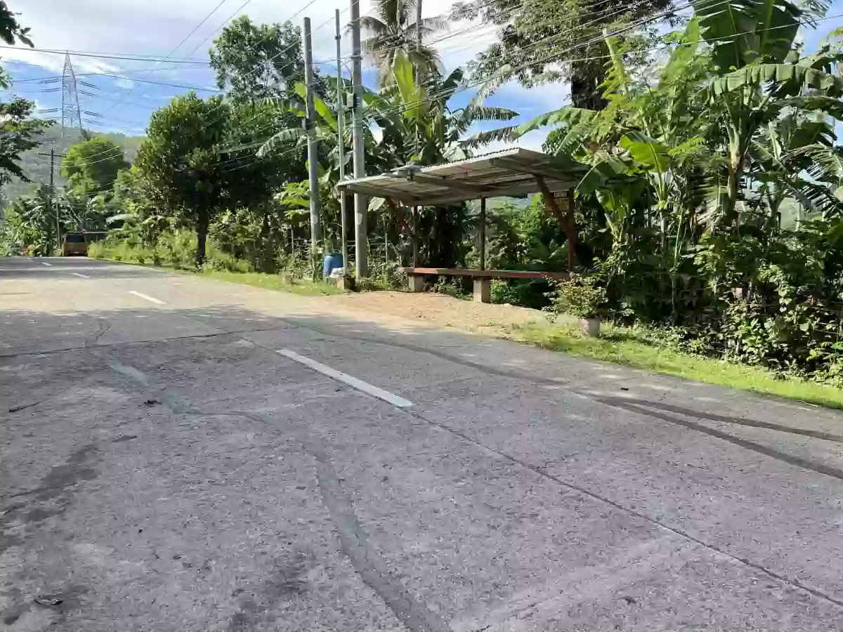 Lot for sale in Campangga Barili Cebu — Agricultural Lot in Barili, Cebu, Philippines — Photo 6