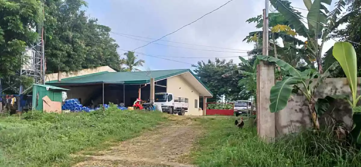 Farm Lot for Sale in Sogod, Cebu — Agricultural Lot in Sogod, Cebu, Philippines — Photo 4