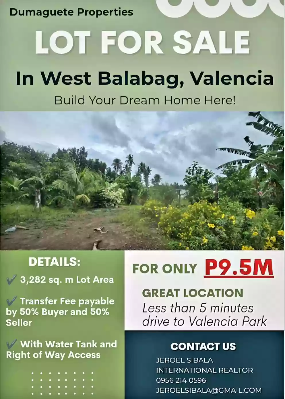 Farm Lot for Sale in West Balabag Valencia