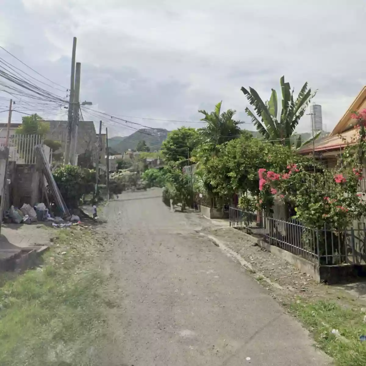 Residential Lot For Sale in Tisa Cebu City — Residential Lot in Cebu City, Cebu, Philippines — Photo 2
