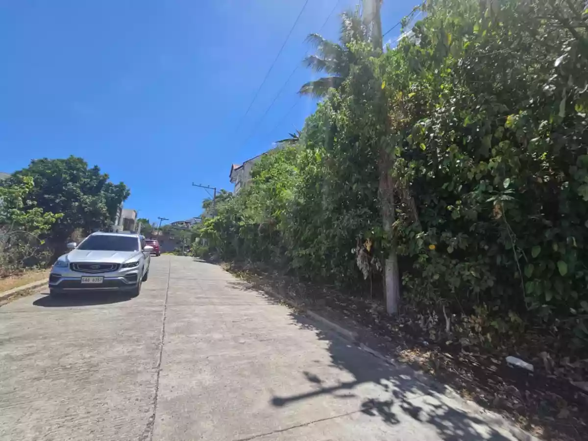 LOTS FOR SALE INSIDE SOUTH HILLS SUBDIVISION (High End Subdivision) — Residential Lot in Cebu City, Cebu, Philippines — Photo 6