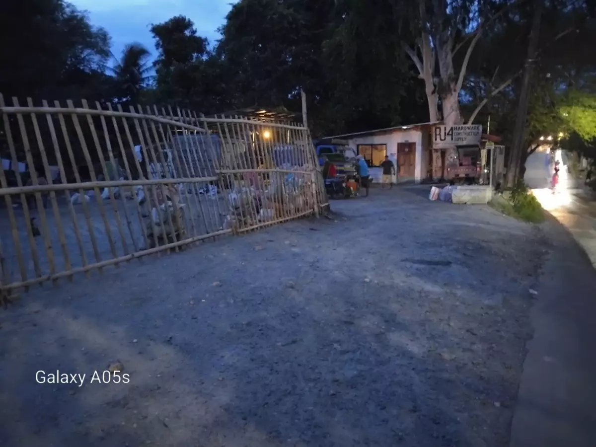 Lot for Sale/Lease (Bacolod)