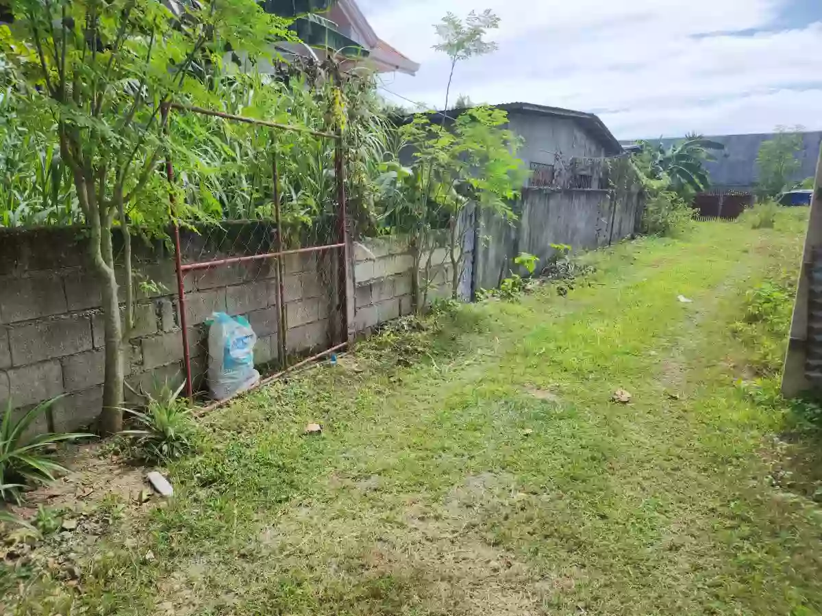 Residential/Commercial Lot for Sale — Residential Lot in Liloan, Cebu, Philippines — Photo 2