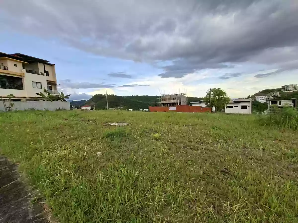 Overlooking Residential Lot for Sale — Residential Lot in Rio de Janeiro Street, Talisay, Cebu — Photo 2
