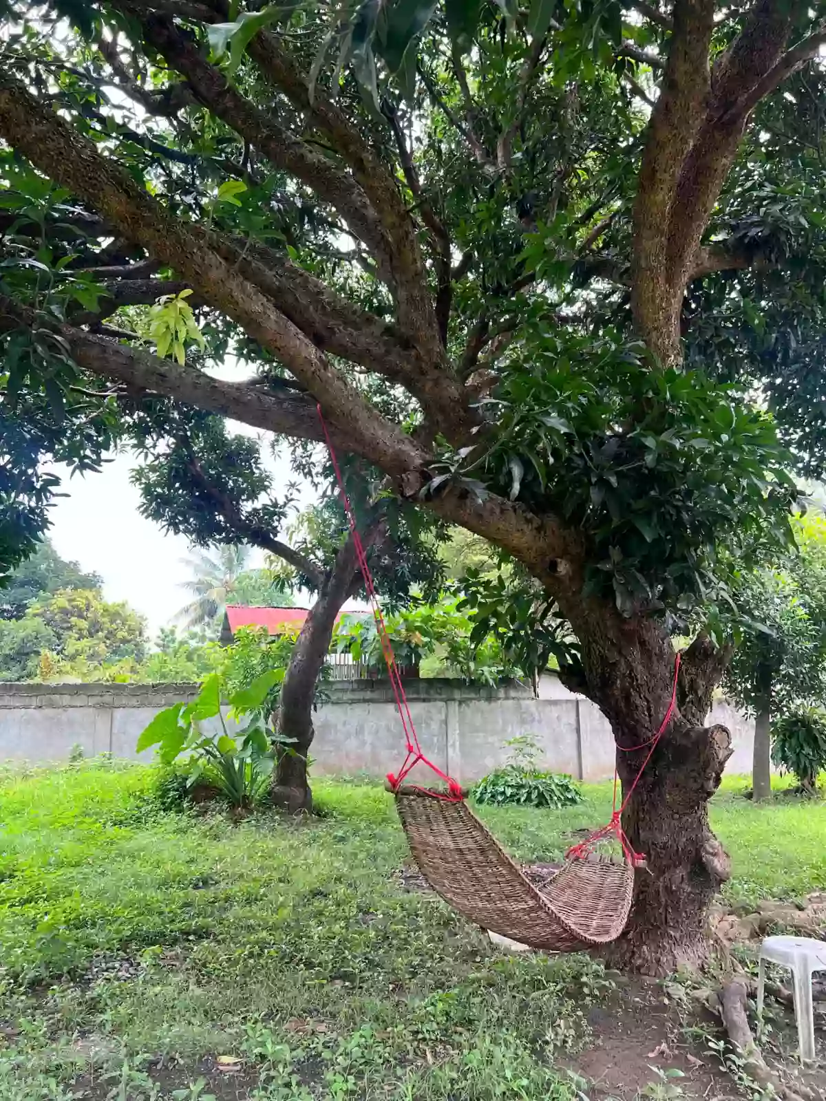 LOT FOR SALE IN BATAAN, DIGOS CITY (LOCATED NEAR GOVERNMENT ESTABLISHMENTS) — Commercial Lot in Digos City, Davao del Sur, Philippines — Photo 6