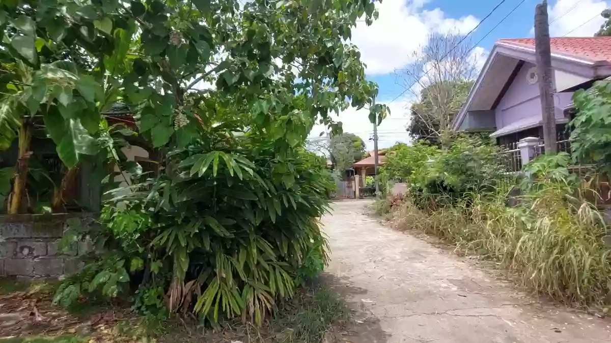 Santa Catalina Homes Residential Lot near Bago City College — Residential Lot in Santa Catalina, Negros Oriental, Philippines — Photo 2