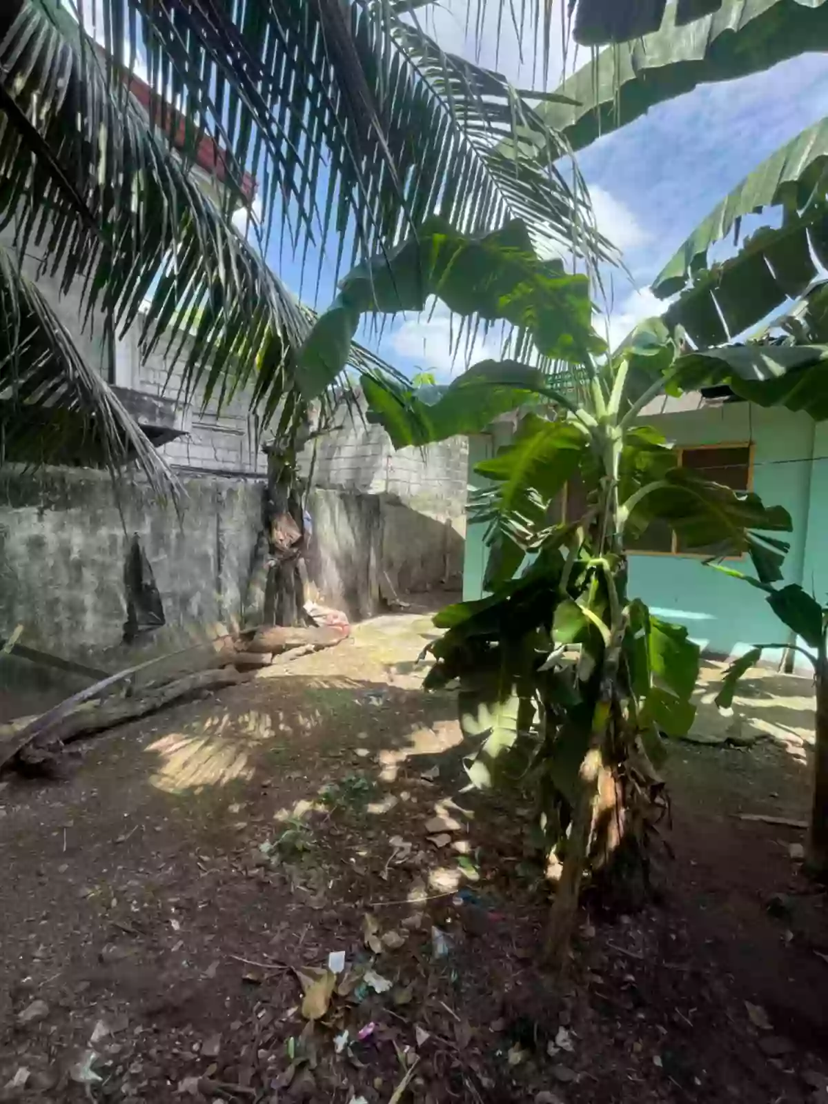 RUSH SALE: Residential / Commercial Property in Tungkil Minglanilla, Cebu — Agricultural Lot in Minglanilla, Cebu, Philippines — Photo 7