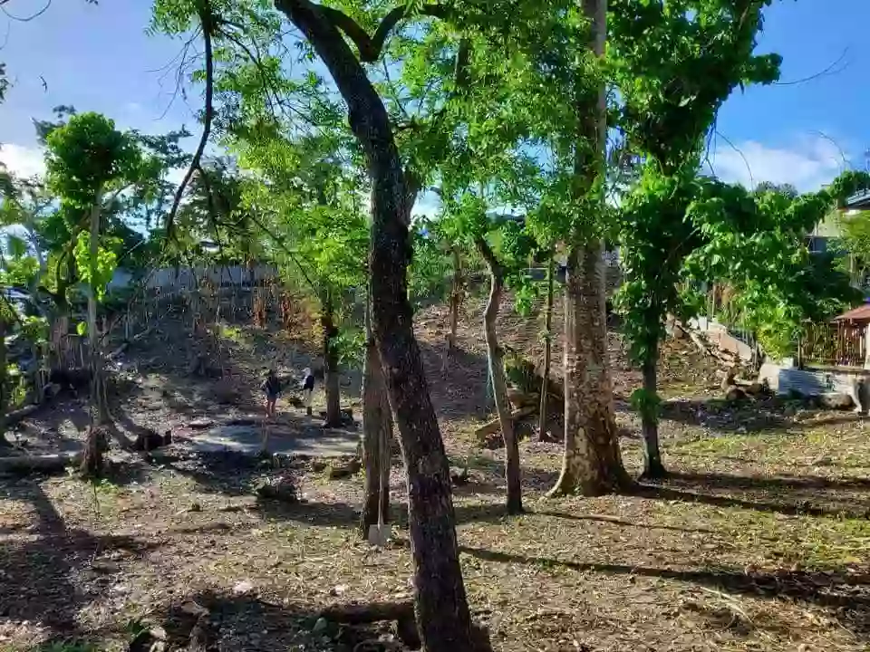 Consolacion Lot Only for Sale — Residential Lot in Consolacion, Cebu, Philippines — Photo 4