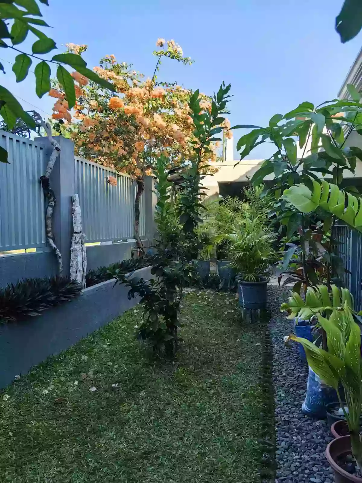 Bungalow House & Lot in Prestigious Subdivision – Talisay City! — House and Lot in Talisay City 6115, Bacolod, Negros Occidental — Photo 5