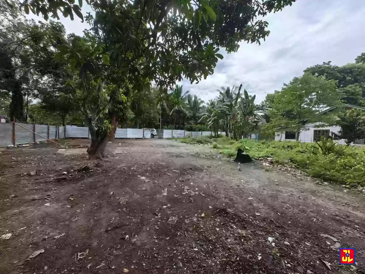 Rush Sale Commercial Lot in Batinguel, Dumaguete [available]