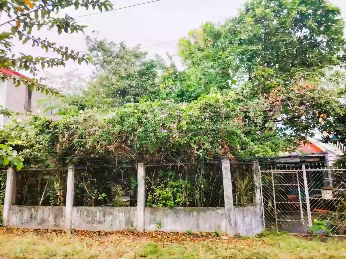 Residential Lot For Sale (inside Subdivision) in Yati, Liloan Cebu — Residential Lot in Liloan, Cebu, Philippines — Photo 4