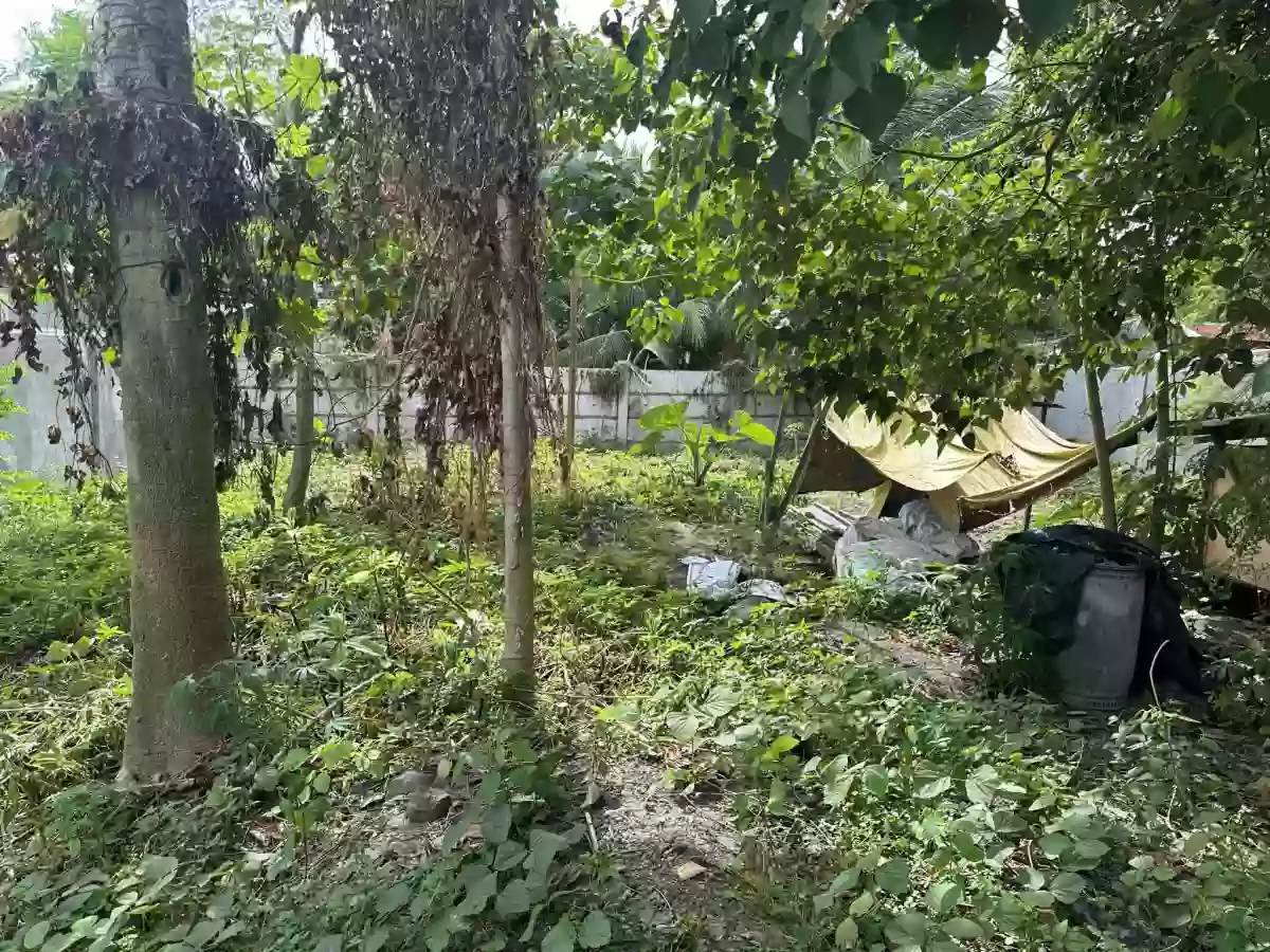 Residential Lot FOR SALE in  Poblacion Polomolok — Residential Lot in Polomolok, South Cotabato, Philippines — Photo 4