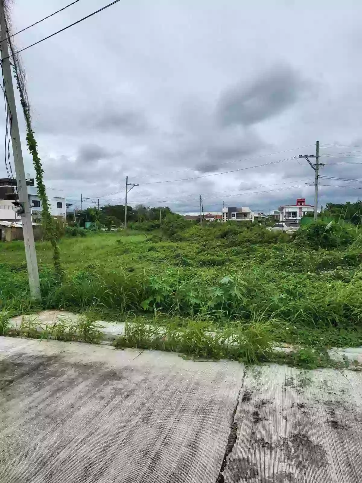 LOT FOR SALE (WESTWOODS GRAND ILOILO) FRONT OF CLUB HOUSE — Residential Lot in Mandurriao, Iloilo City, Iloilo — Photo 3