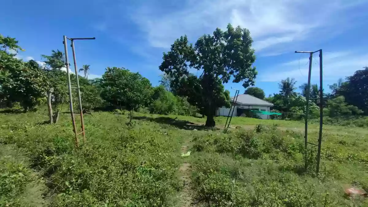 LOT FOR SALE in Mohon Talisay City, Cebu! — Residential Lot in Talisay, Cebu, Philippines — Photo 5