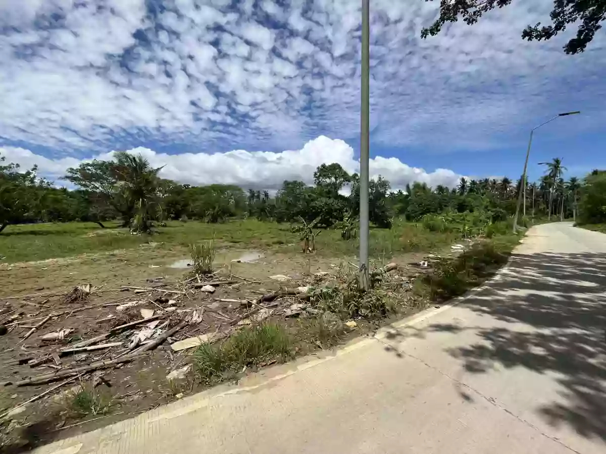 8,875 sqm AGRICULTURAL Lot for sale in COTCOT, LILOAN [TITLED] — Agricultural Lot in Liloan, Cebu, Philippines — Photo 3