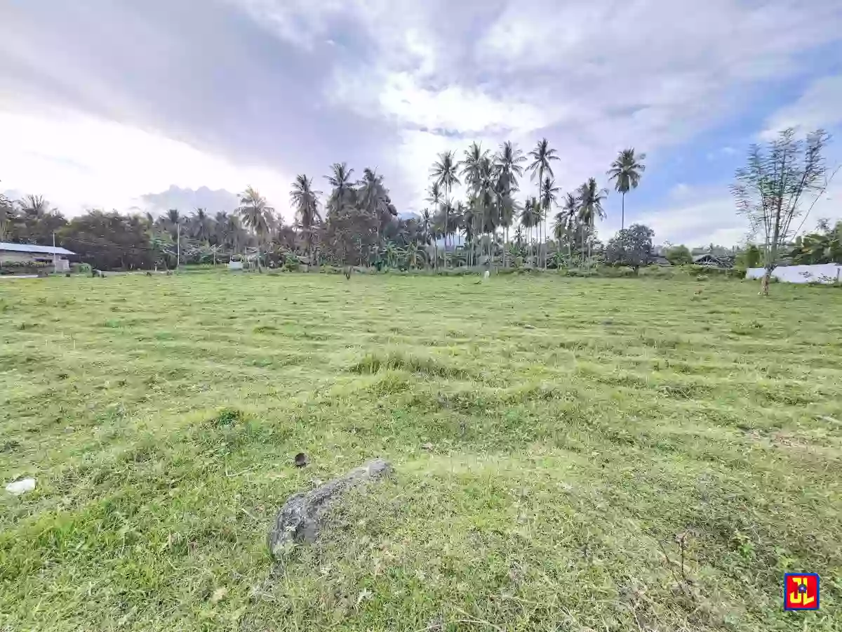 Rush Sale 5,885sqm Corner Lot in Balayag Manok, Bacong [available] — Residential Lot in Bacong, Negros Oriental, Philippines — Photo 4